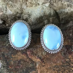 Golden Hill Turquoise Sterling Silver Earrings by Artie Yellowhorse