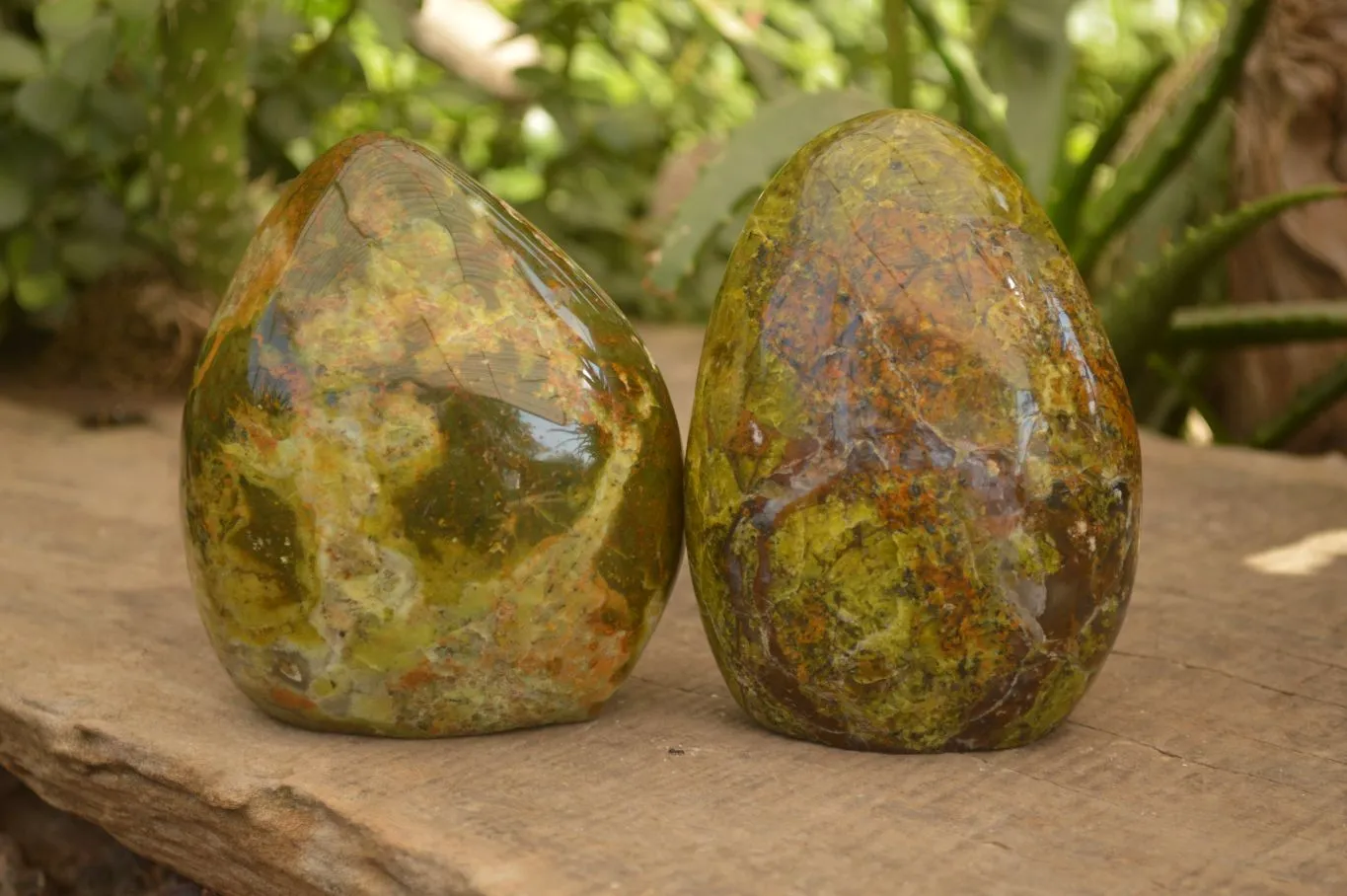 Polished  Green Opal Standing Free Forms  x 2 From Antsirabe, Madagascar