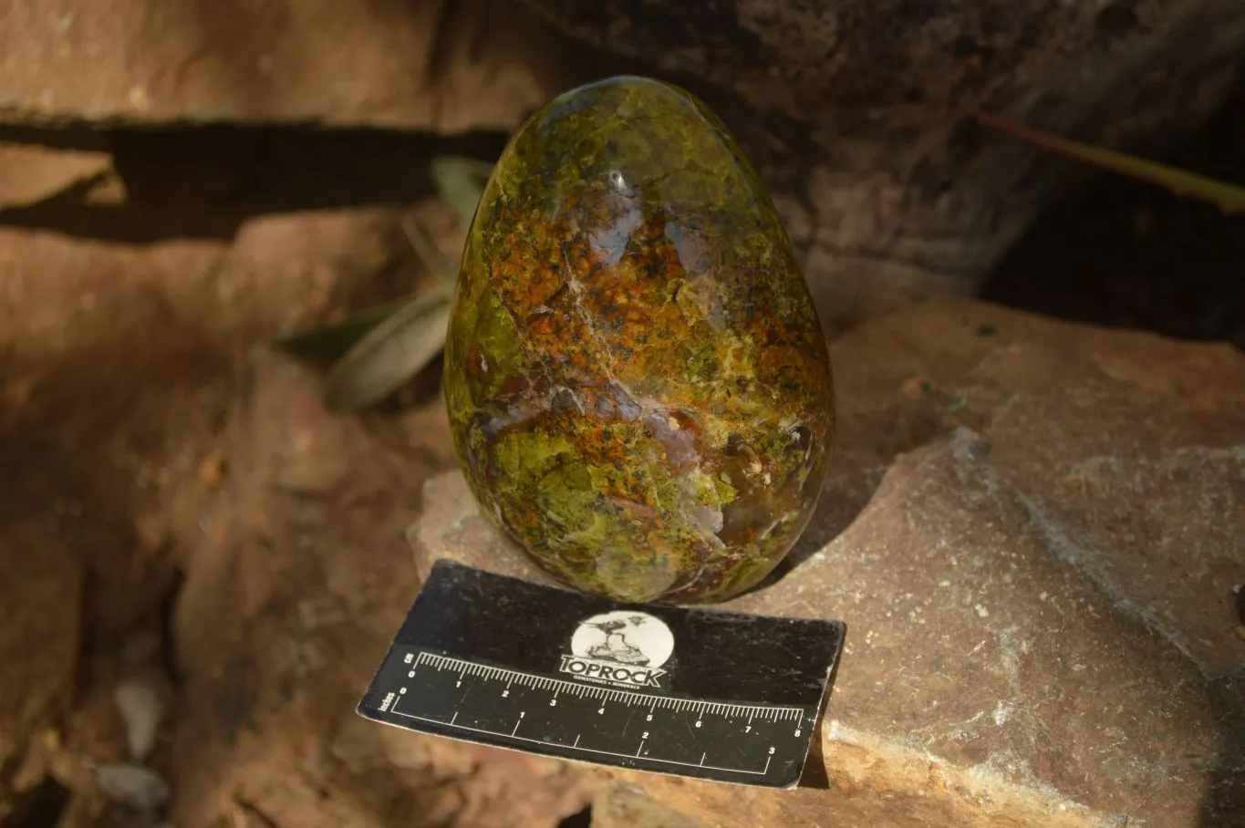 Polished  Green Opal Standing Free Forms  x 2 From Antsirabe, Madagascar